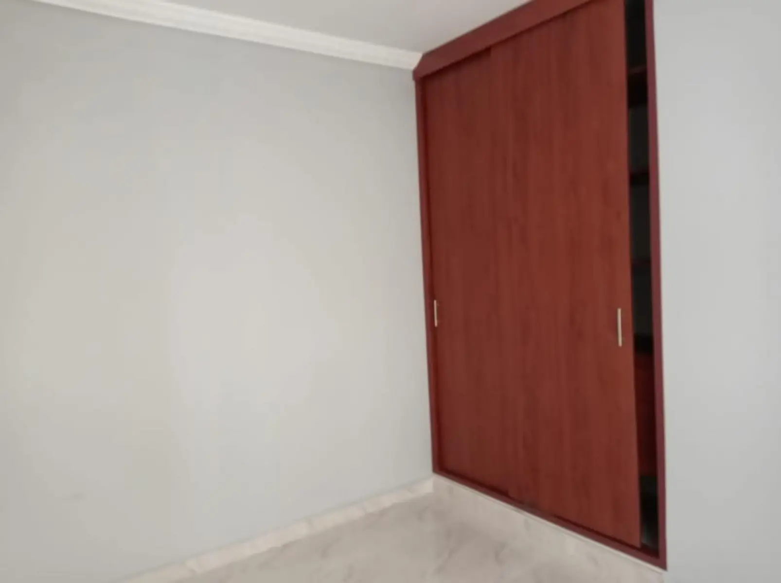 Cl. 47, Palmira, Valle del Cauca, Colombia 4