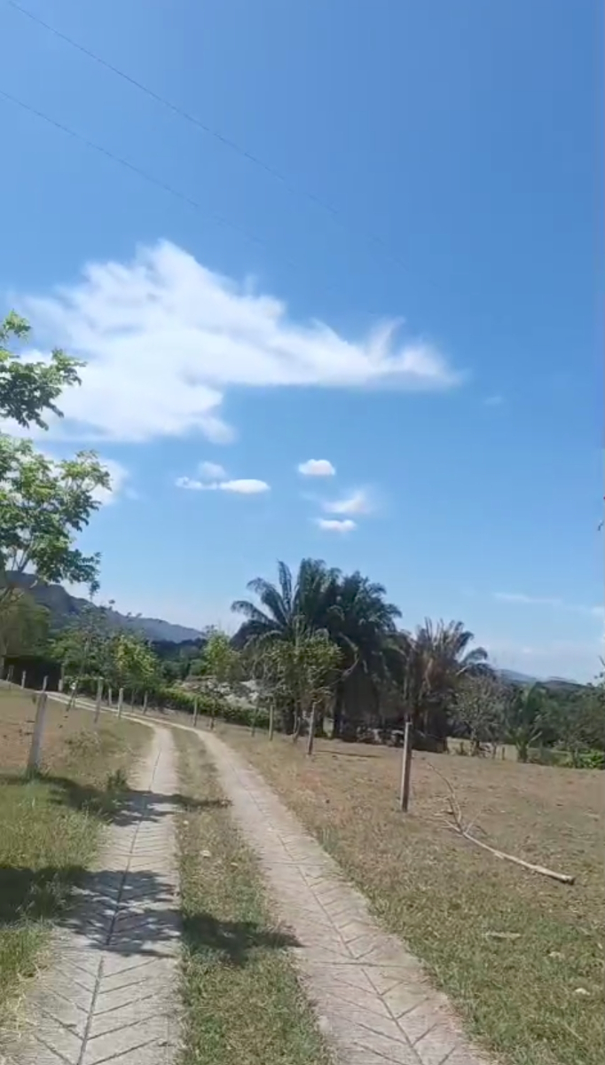 Carmen Apicala, Carmen de Apicalá, Tolima, Colombia