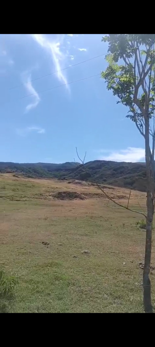 Carmen Apicala, Carmen de Apicalá, Tolima, Colombia 3