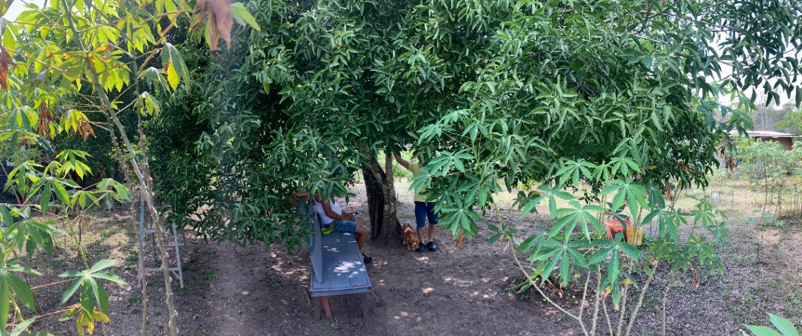 Vda. Chimbi, Melgar, Tolima, Colombia