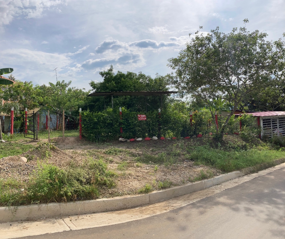 Vda. Chimbi, Melgar, Tolima, Colombia 5