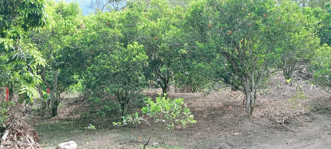 San Antonio Del Tequendama, Cundinamarca, Colombia