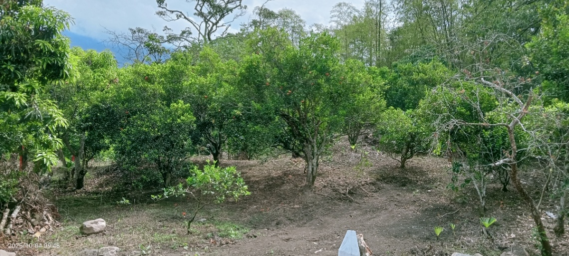 San Antonio Del Tequendama, Cundinamarca, Colombia 3