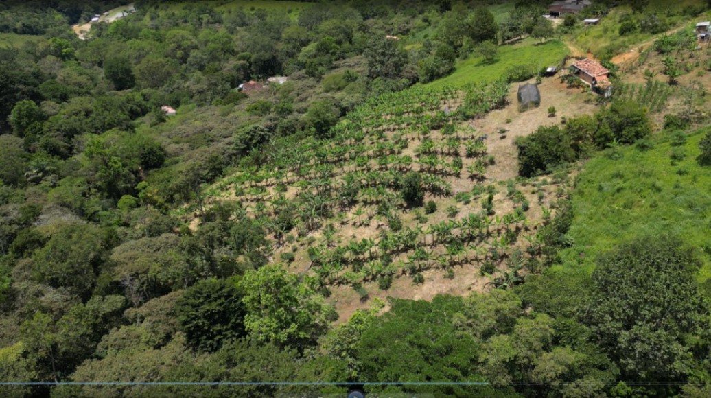 Vereda cañaveral bajo municipio san gil santander 4