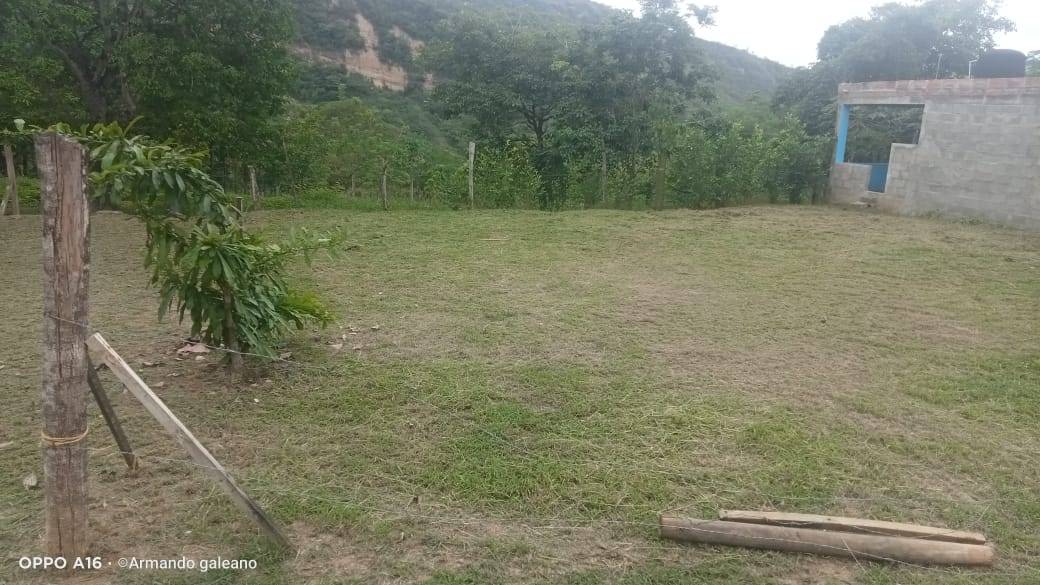 Via San Jerónimo Medellín, Santa Margarita, Medellín, Antioquia, Colombia