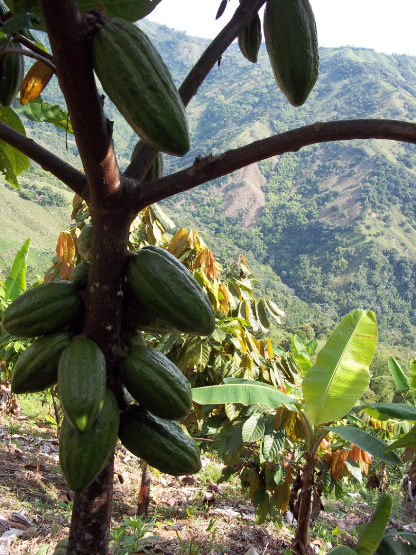 Armero-Libano, Líbano, Tolima, Colombia