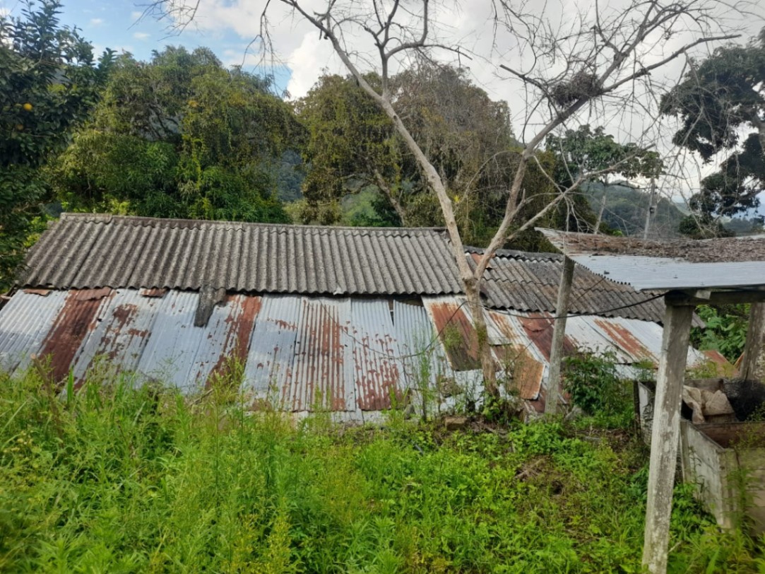 Pje. Santander, Centro, Bucaramanga, Santander, Colombia 3