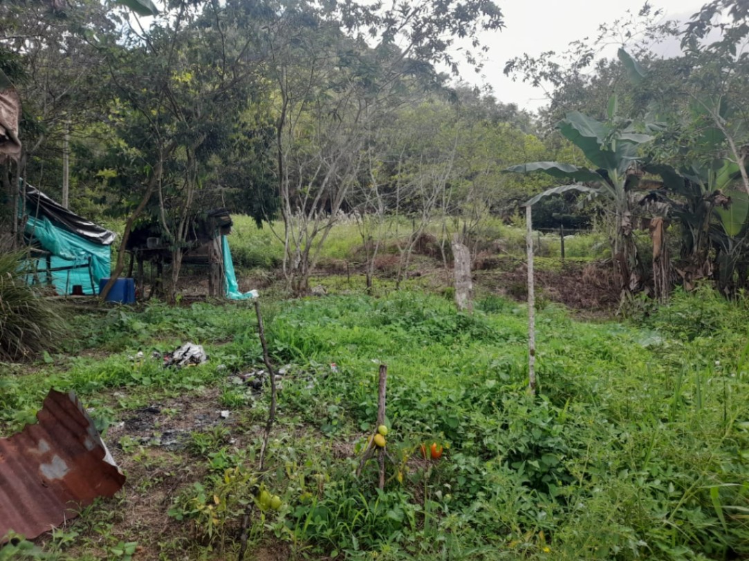 Pje. Santander, Centro, Bucaramanga, Santander, Colombia 5