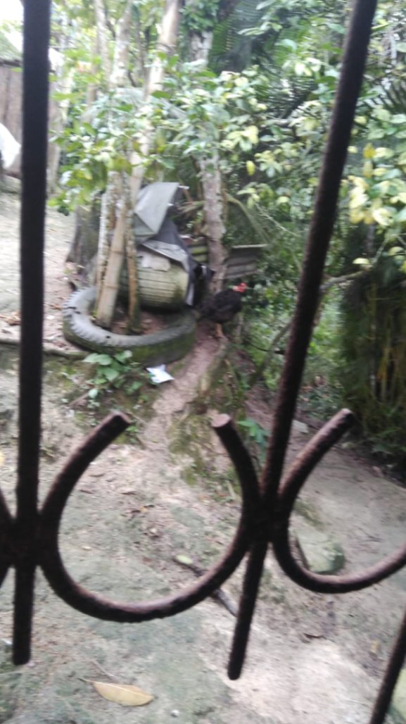 Pje. Santander, Centro, Bucaramanga, Santander, Colombia 3