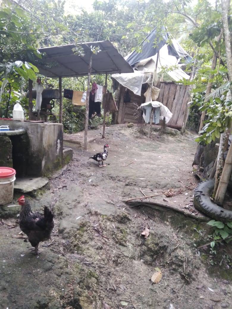 Pje. Santander, Centro, Bucaramanga, Santander, Colombia 4