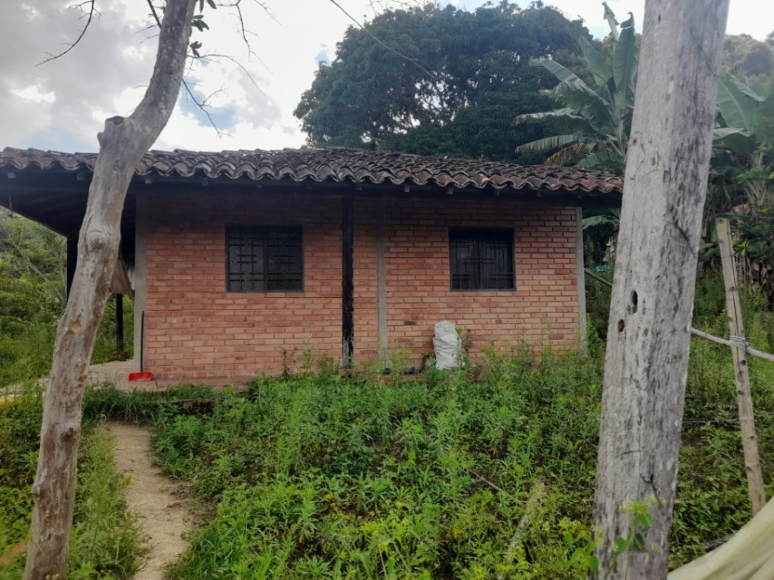 Pje. Santander, Centro, Bucaramanga, Santander, Colombia