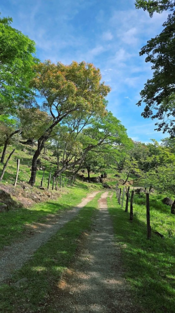 Fusagasuga-Tibacuy, Fusagasugá, Cundinamarca, Colombia 3
