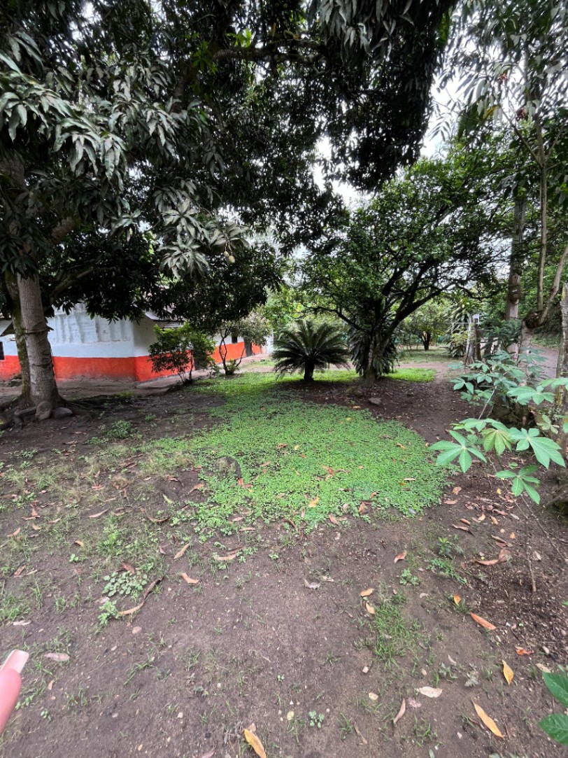 Garzón-Correg. Majo, Garzón, Huila, Colombia 3