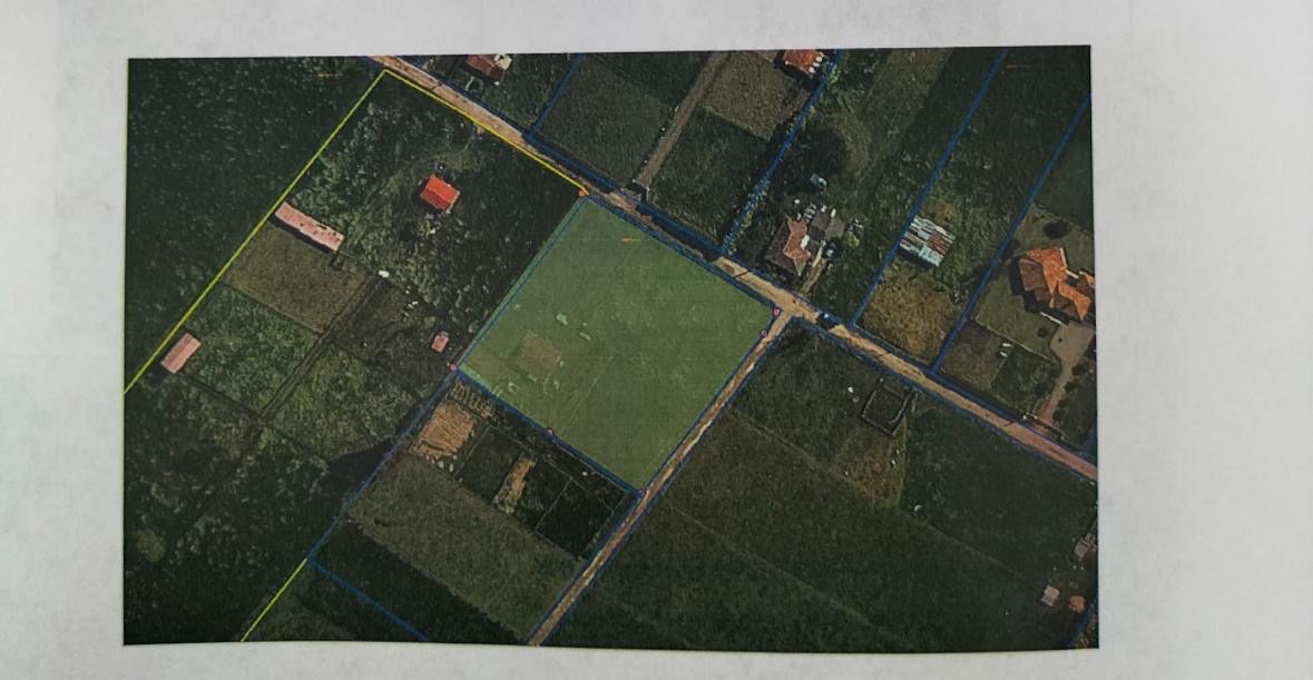 Camellón El Líbano, Tenjo, Cundinamarca, Colombia 3