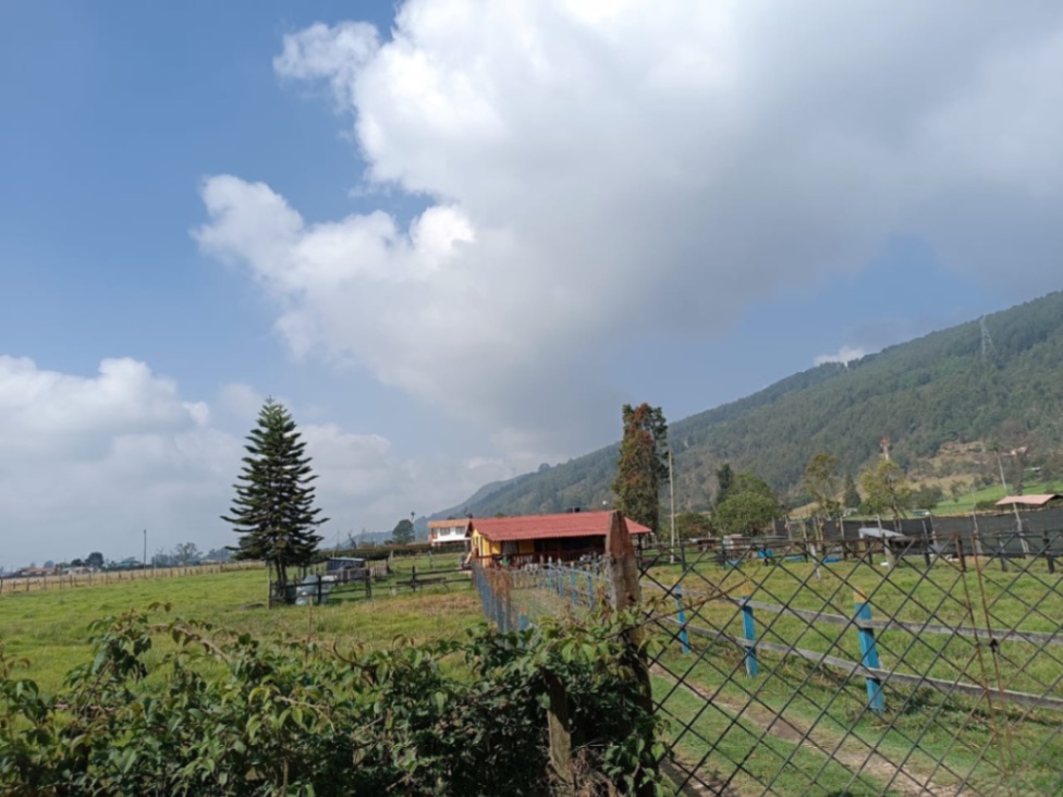 Camellón El Líbano, Tenjo, Cundinamarca, Colombia 4