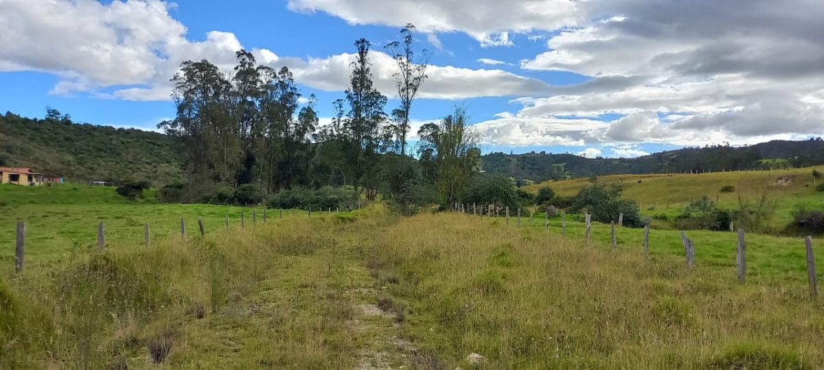 Tunja-Tuta, Tuta, Boyacá, Colombia 3