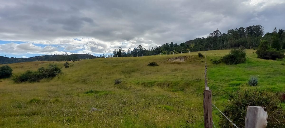 Tunja-Tuta, Tuta, Boyacá, Colombia 4