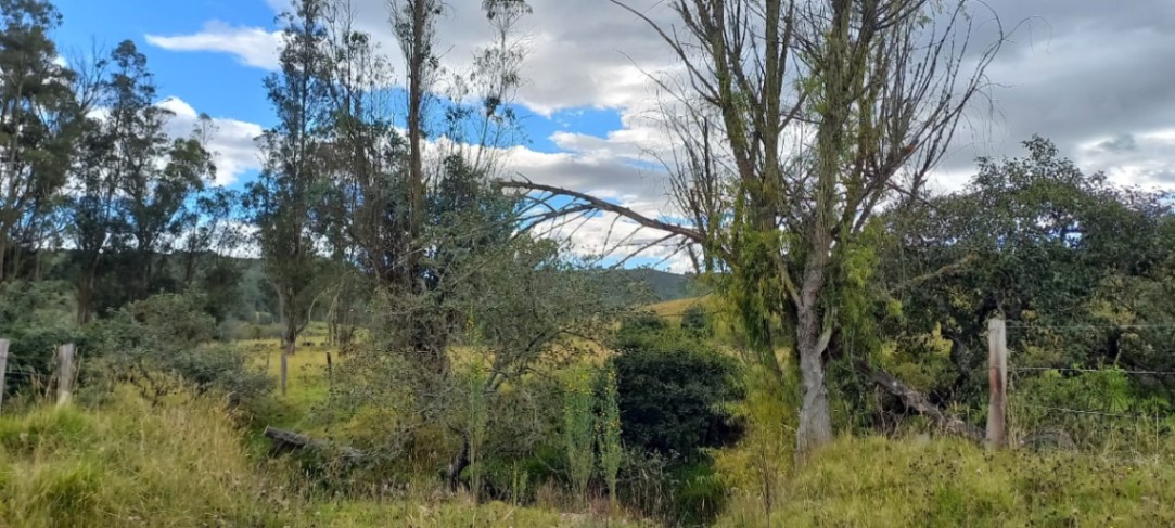 Tunja-Tuta, Tuta, Boyacá, Colombia 5