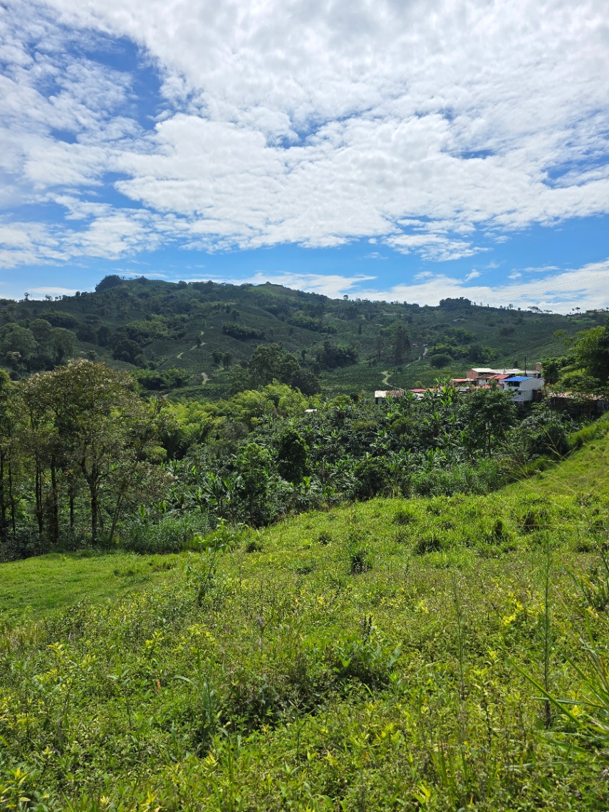 Marsella-Chinchiná, Marsella, Risaralda, Colombia 4