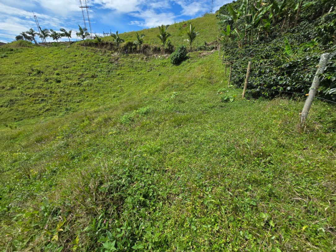 Marsella-Chinchiná, Marsella, Risaralda, Colombia 5
