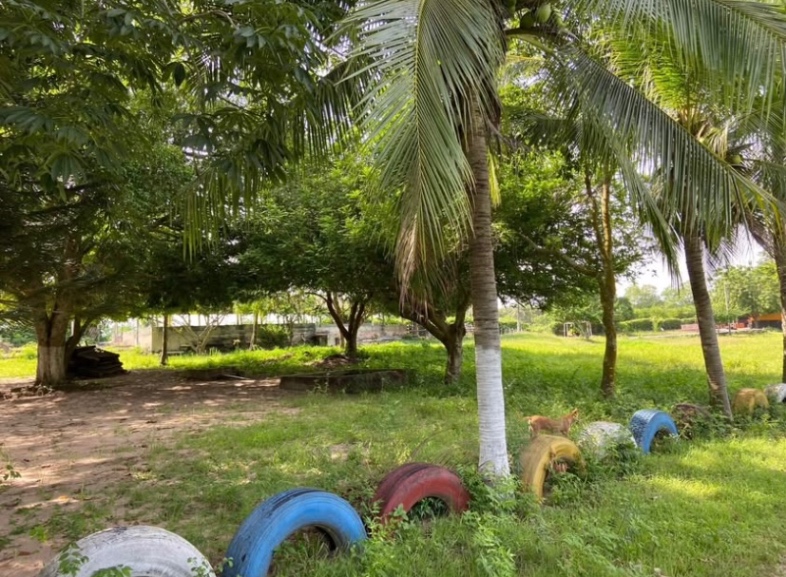 Via Santo Tomas - Polonuevo, Santo Tomás, Atlántico, Colombia 3