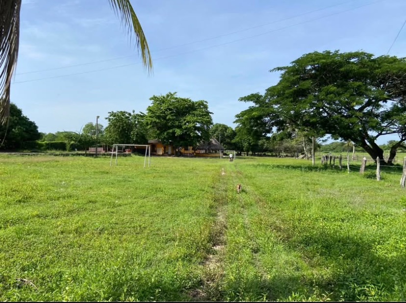 Via Santo Tomas - Polonuevo, Santo Tomás, Atlántico, Colombia 4