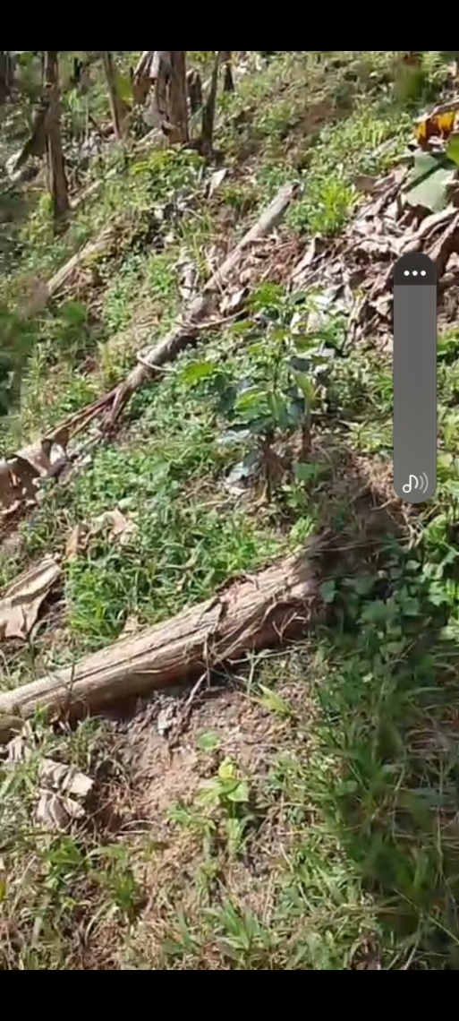 Av. Bucarica, Floridablanca, Santander, Colombia 2