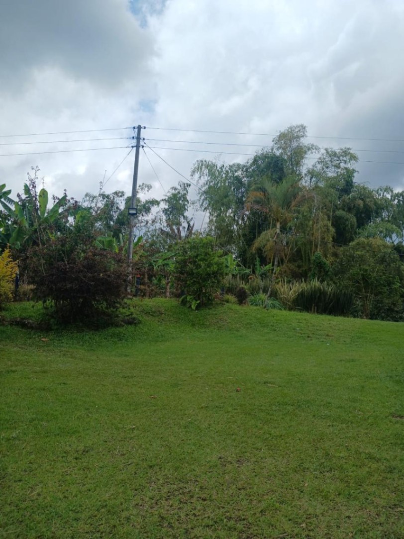 Filandia - Ulloa, Filandia, Quindío, Colombia 3