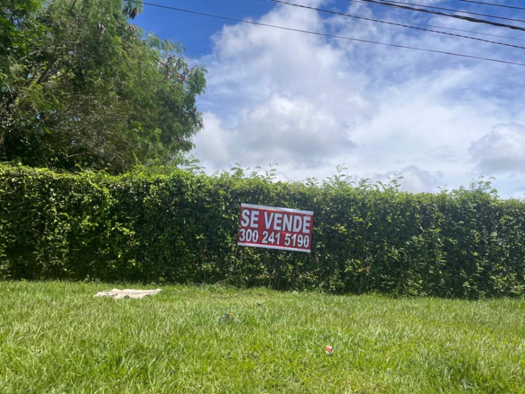 Carmen De Apicala, Carmen de Apicalá, Tolima, Colombia