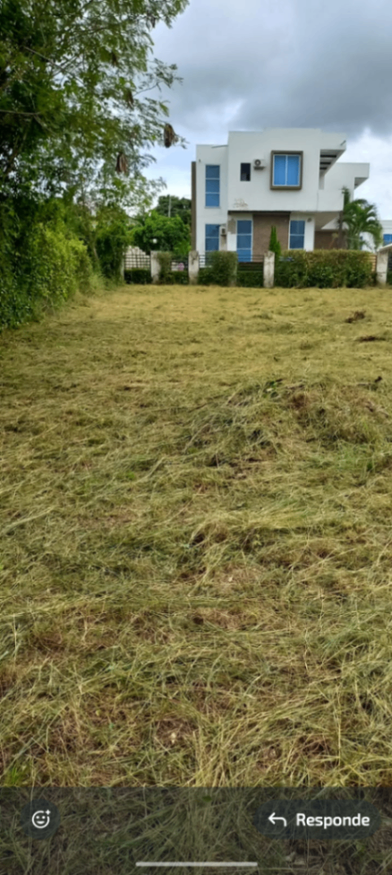 Carmen De Apicala, Carmen de Apicalá, Tolima, Colombia 3