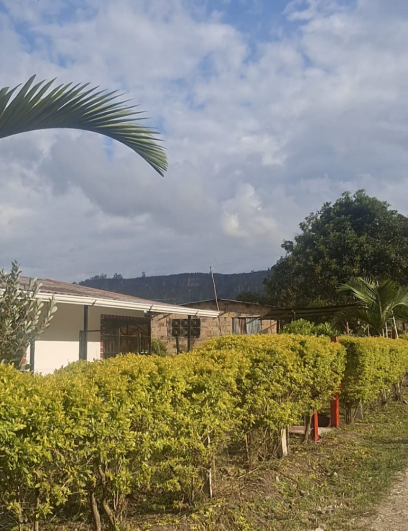 Vías Icononzo, Icononzo, Tolima, Colombia 5