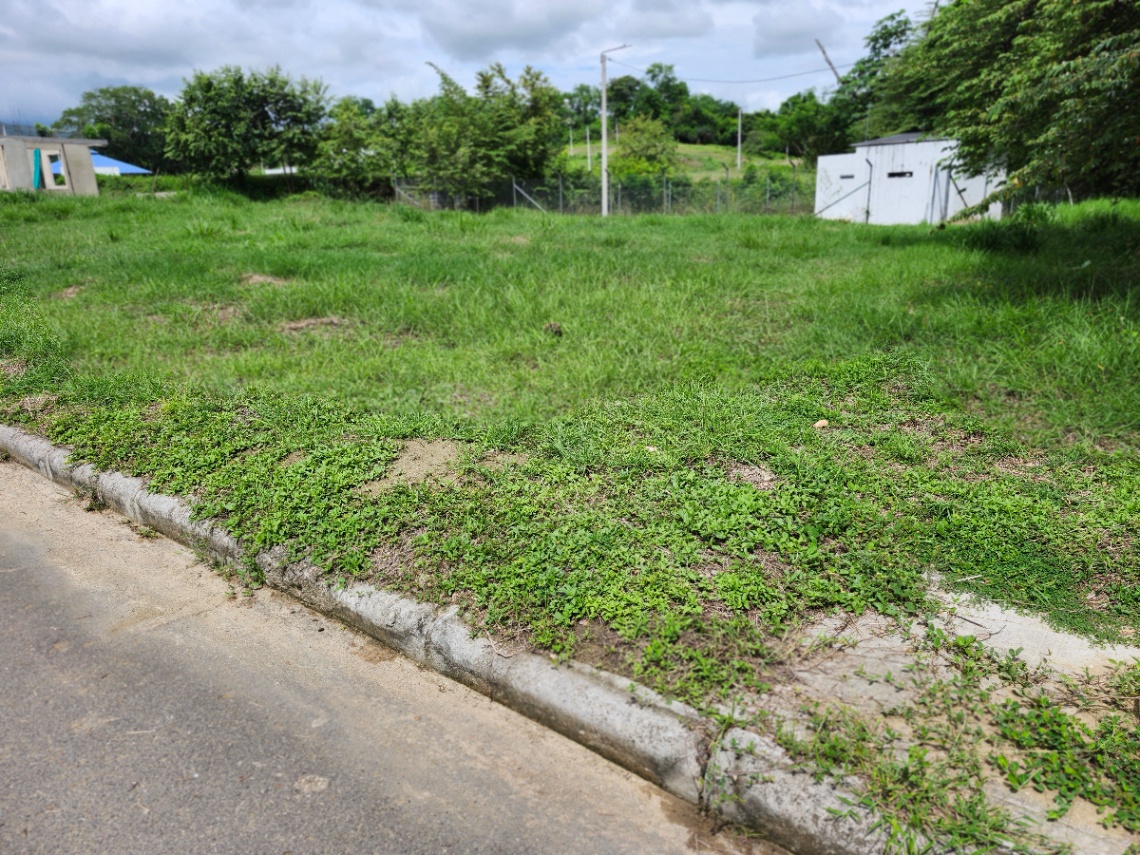 Carmen De Apicala, Carmen de Apicalá, Tolima, Colombia
