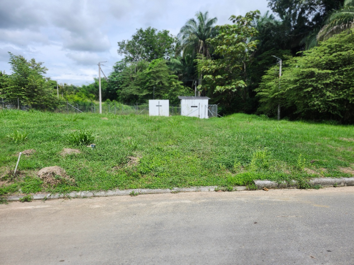 Carmen De Apicala, Carmen de Apicalá, Tolima, Colombia 3