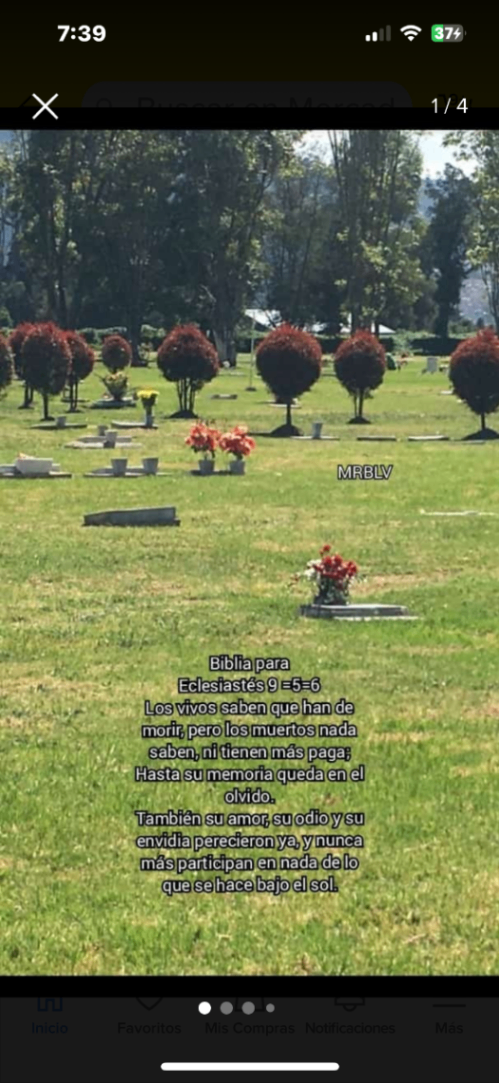 Auto. Norte #220, Bogotá, Colombia