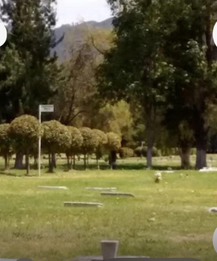 Auto. Norte #220, Bogotá, Colombia 3