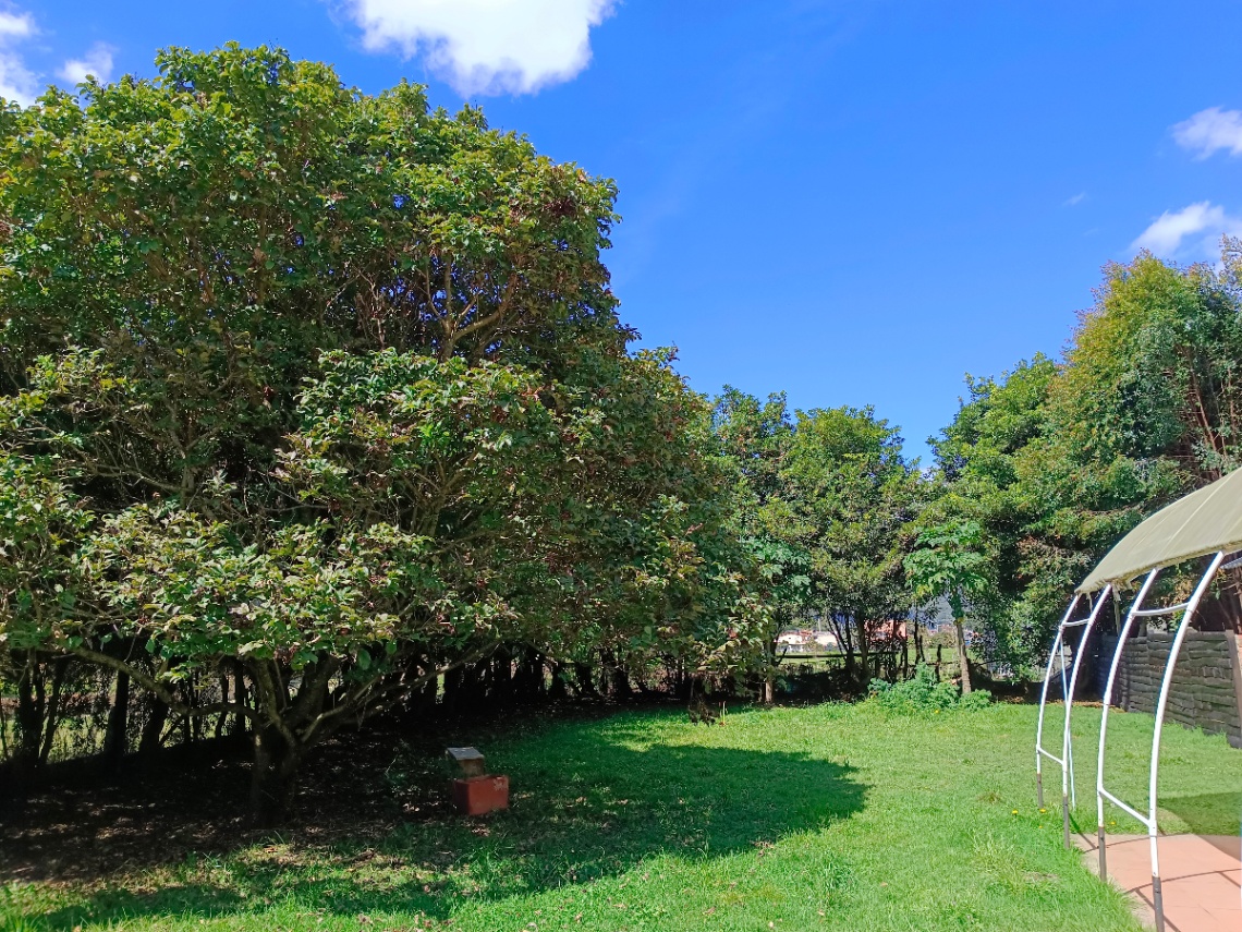 Vda. Lourdes, Tabio, Cundinamarca, Colombia 5