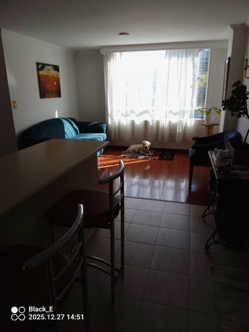 Ac 53 #14 número 34, Bogotá, Colombia 5