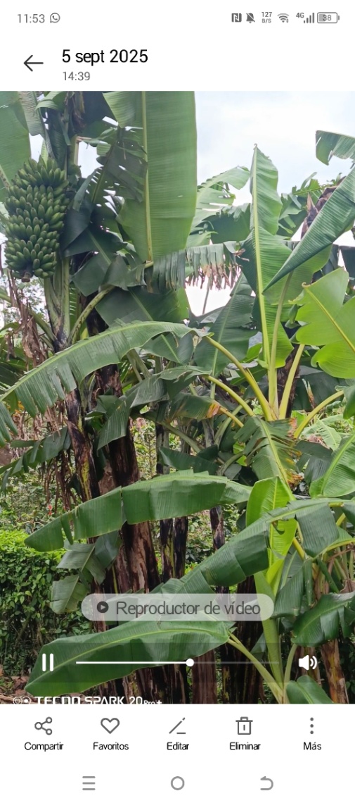 Namay Alto, Albán, Cundinamarca, Colombia 3