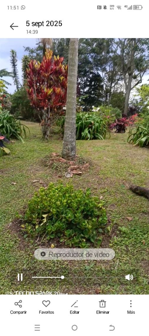 Namay Alto, Albán, Cundinamarca, Colombia 4