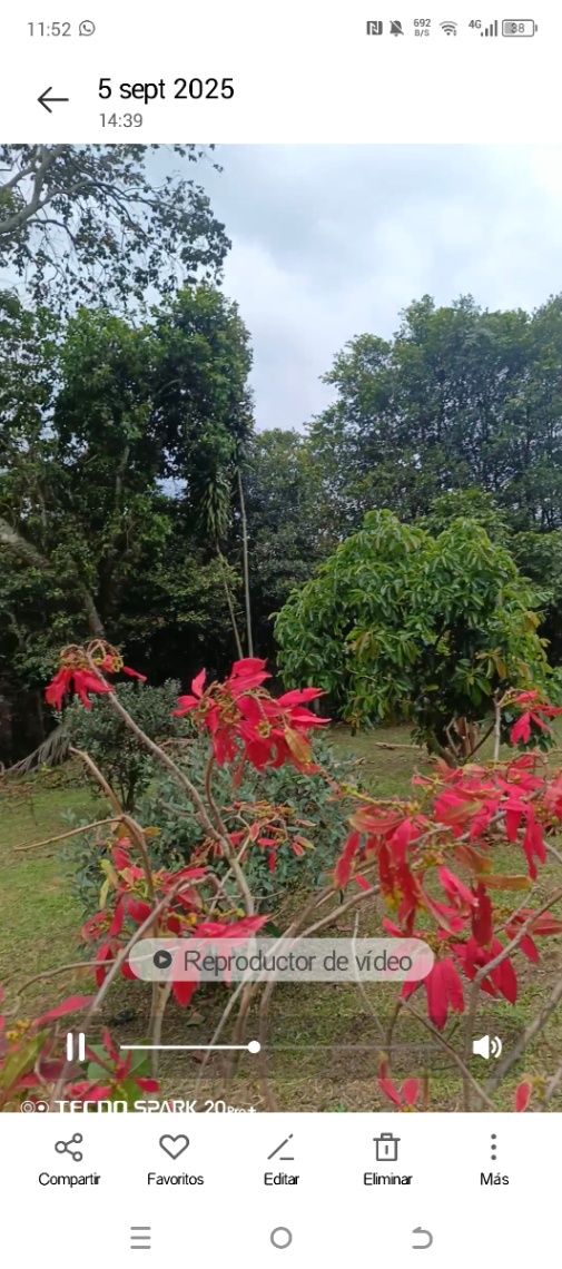 Namay Alto, Albán, Cundinamarca, Colombia 5