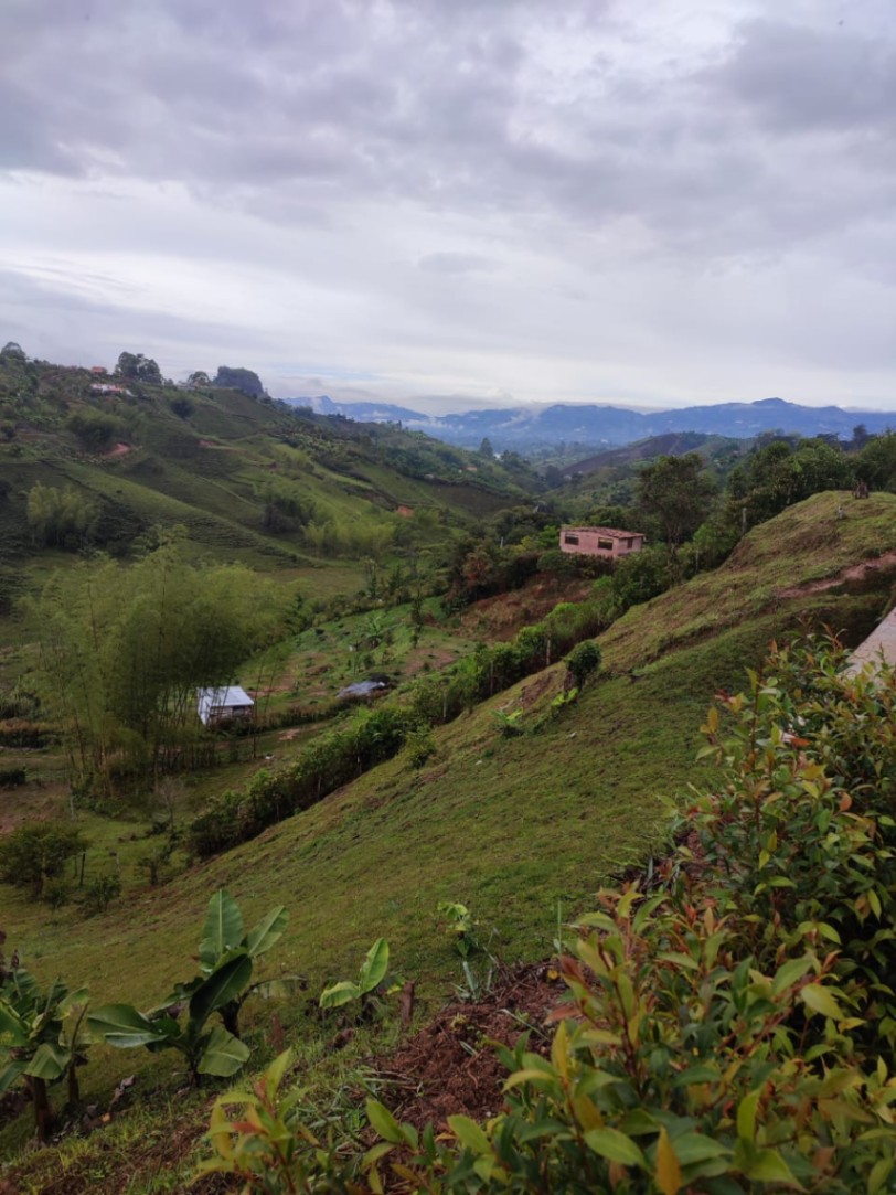 El Marial-El Peñol, Peñol, Antioquia, Colombia 3
