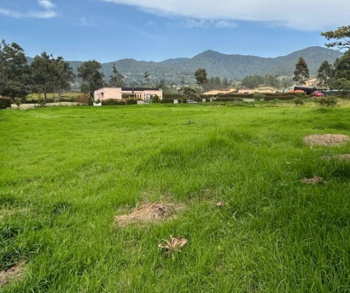 Vda. el Yarumo, La Ceja, Antioquia, Colombia 4