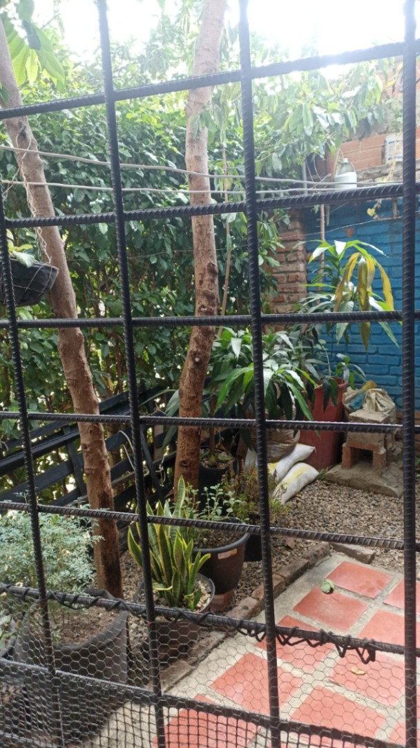 San Martín, Villa Del Rosario, Norte de Santander, Colombia 4