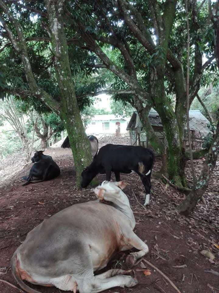 Mariquita-Honda, Honda, Tolima, Colombia 5