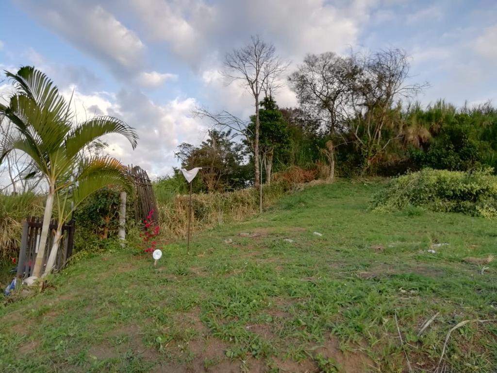 Vía Manizales-Chinchina, Manizales, Caldas, Colombia 4