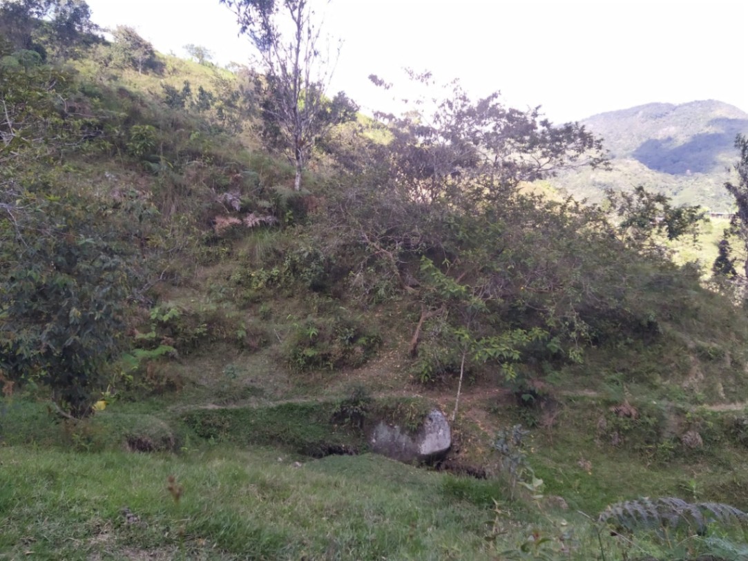 Alejandría - Guatapé, Alejandría, Antioquia, Colombia 3