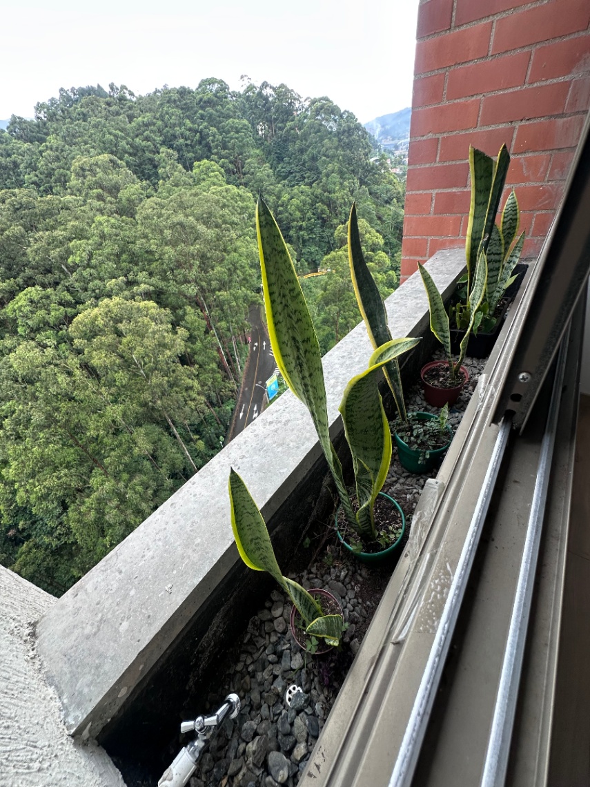 Calle 82 Sur #38 – 159, Sabaneta, Antioquia, Colombia 4