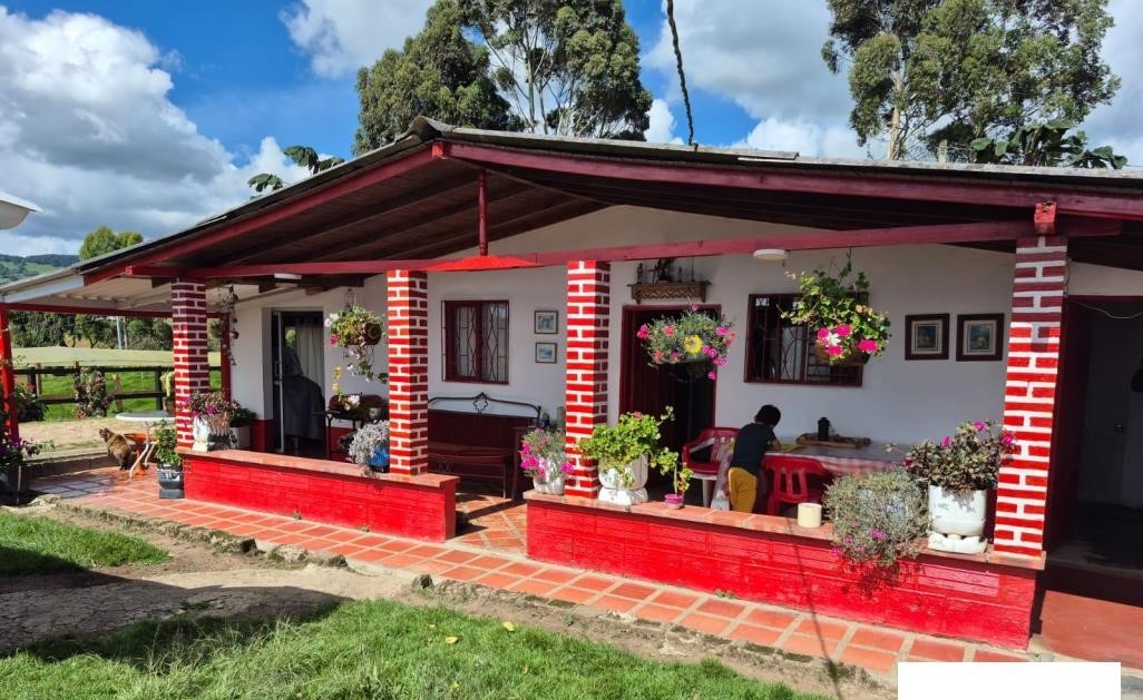 Vereda El Tambo, San Pedro de los Milagros, Antioquia, Colombia