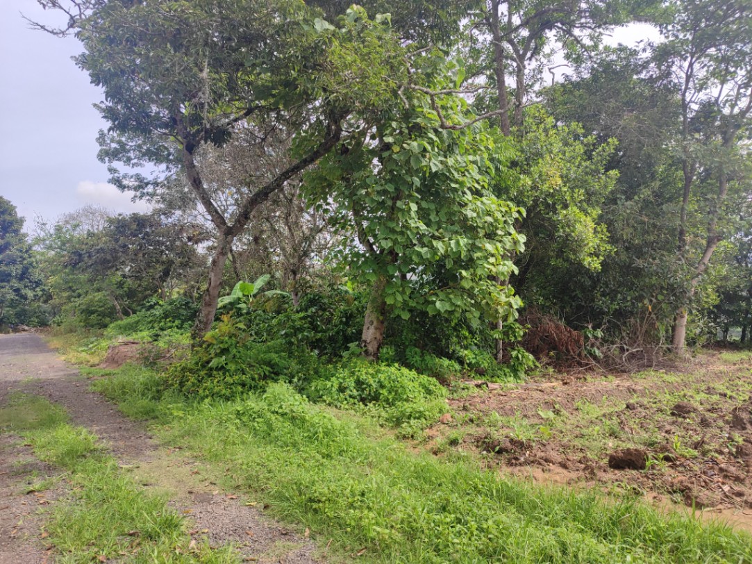 Curiti, Curití, Santander, Colombia 5