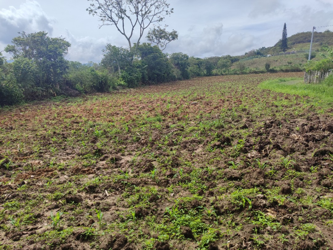Curiti, Curití, Santander, Colombia 3